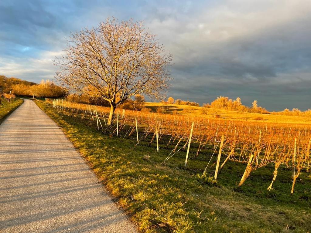 Apartments Freitag - H1 Winden am See エクステリア 写真